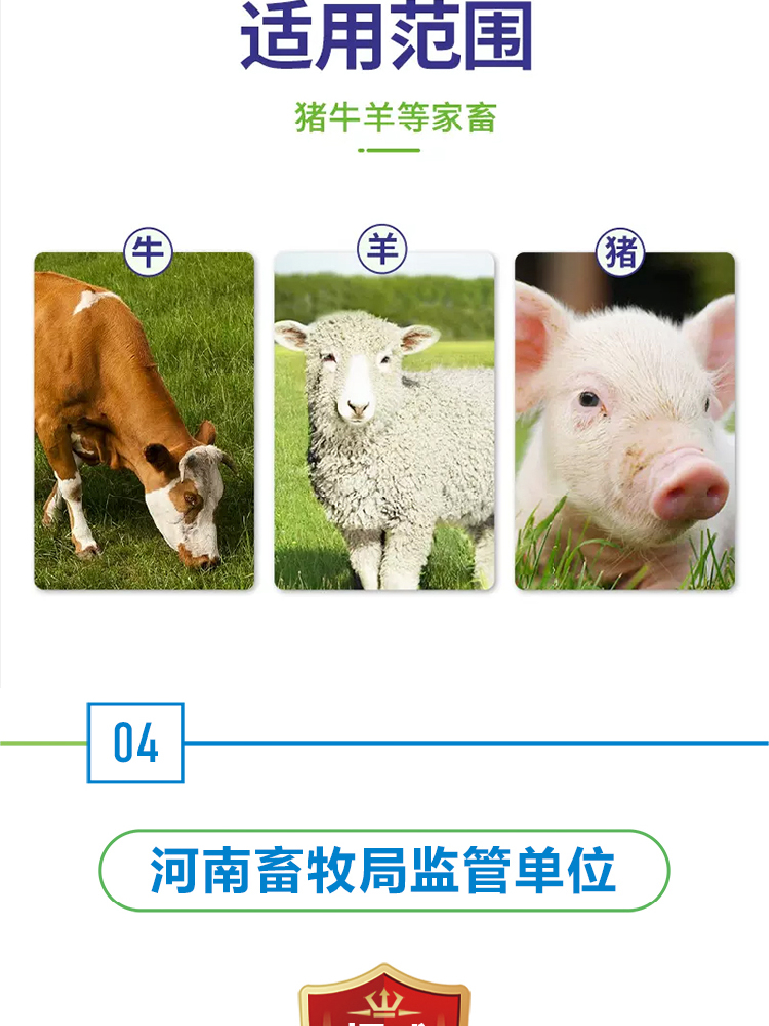 1713253480632033.jpg 詳情頁1.3 副本 2 (5).jpg