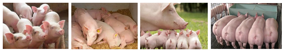 1713255507179065.jpg 4.jpg