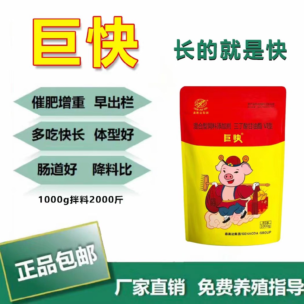 生豬如何高效催肥？