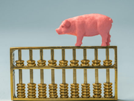 豬價(jià) 5 連漲！北方豬病突襲，母豬淘汰加速，養(yǎng)殖戶機(jī)遇風(fēng)險(xiǎn)雙預(yù)警